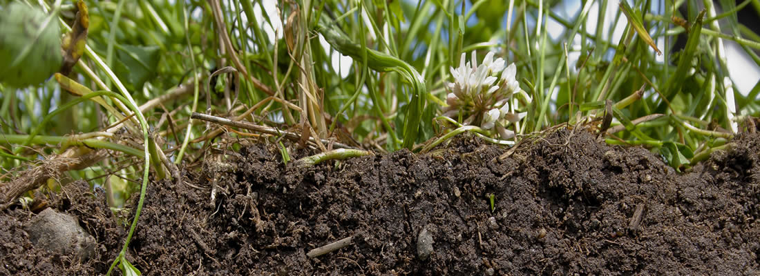 Monograph on Fertilizer Use and Management practices  for a wide range of Crops in Nigeria